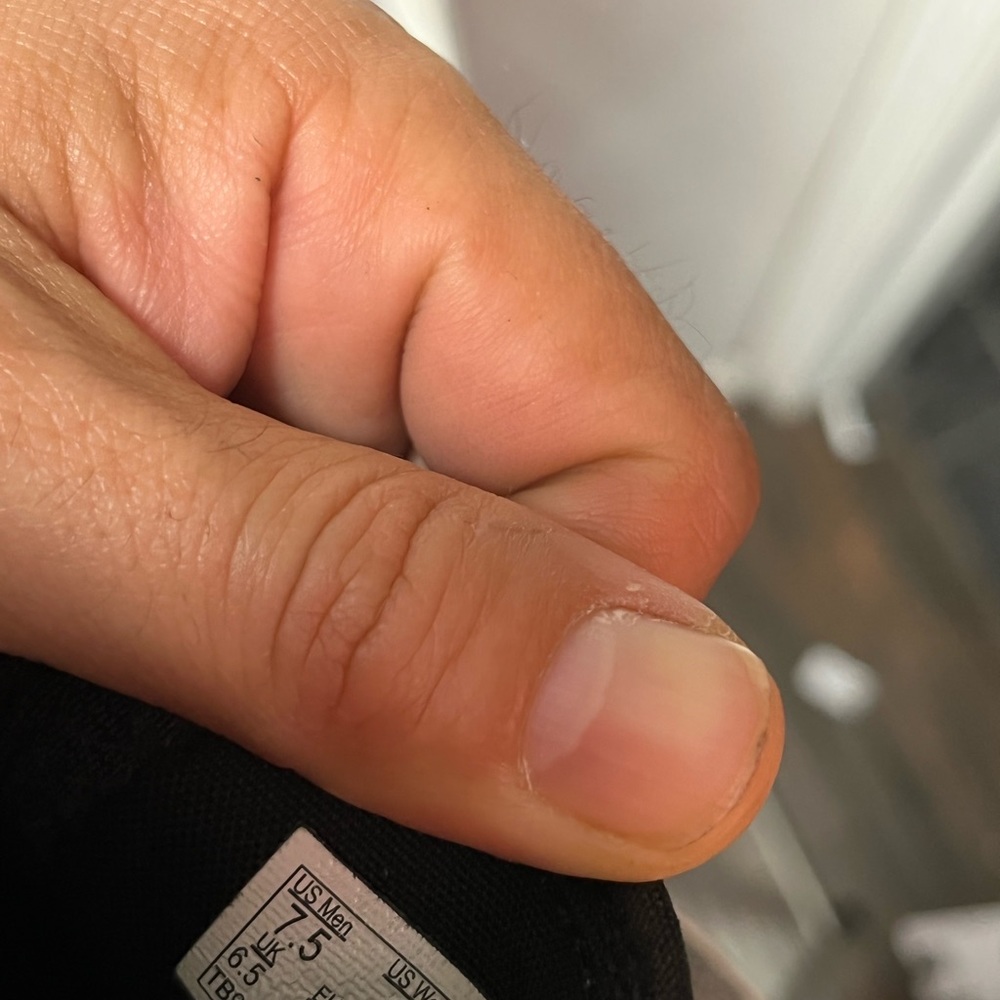 Vans - Picture 2 of 3